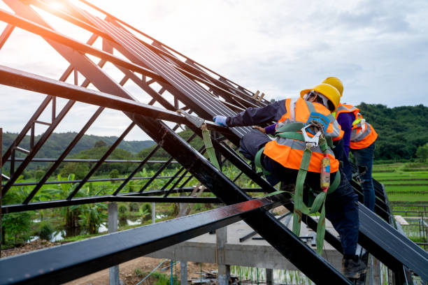 Best Roof Restoration Services  in Fairfax, MN