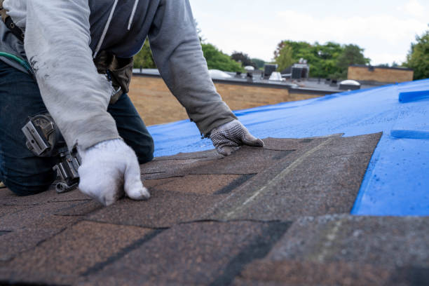 Best Gutter Installation and Roofing  in Fairfax, MN