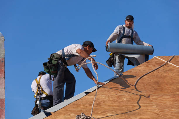 Gutter Installation and Roofing in Fairfax, MN
