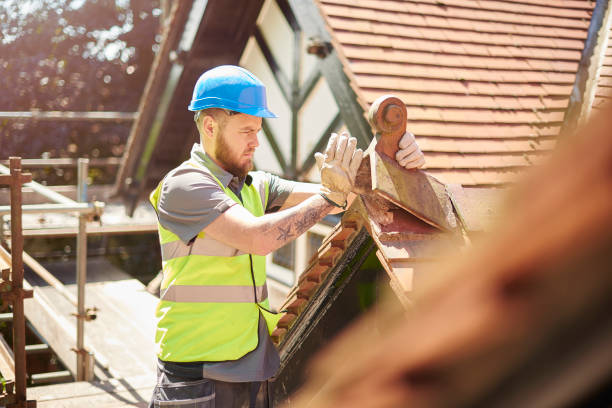 Best Roof Leak Repair  in Fairfax, MN